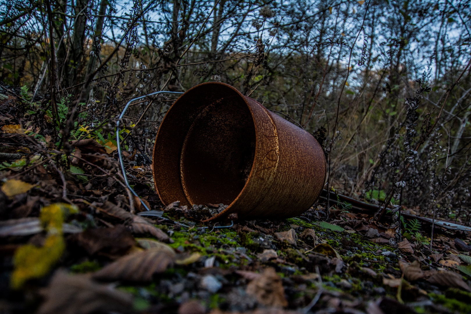 Lost Bucket