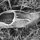 Lost Bugatti!