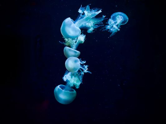 Lost contact P5210172