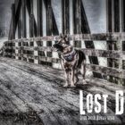 Lost Dogs