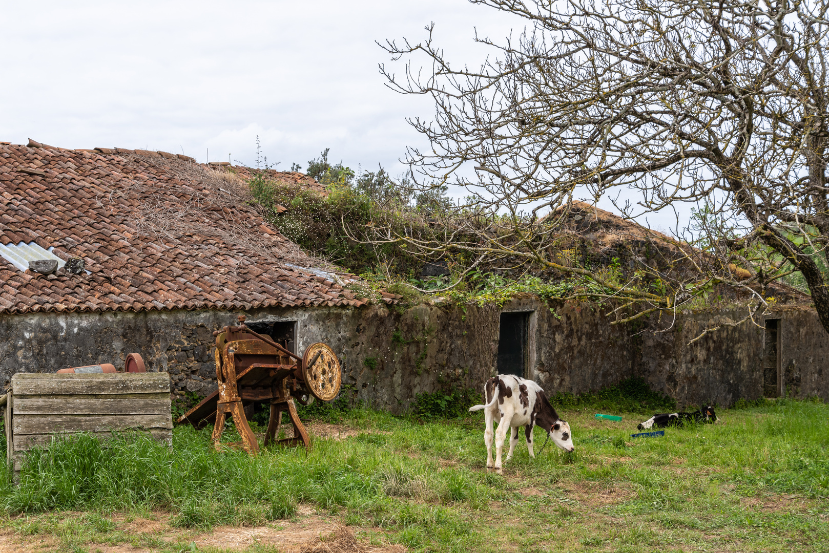 Lost Farm