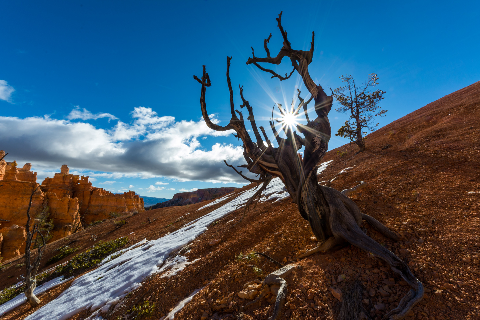 Lost fight against the elements