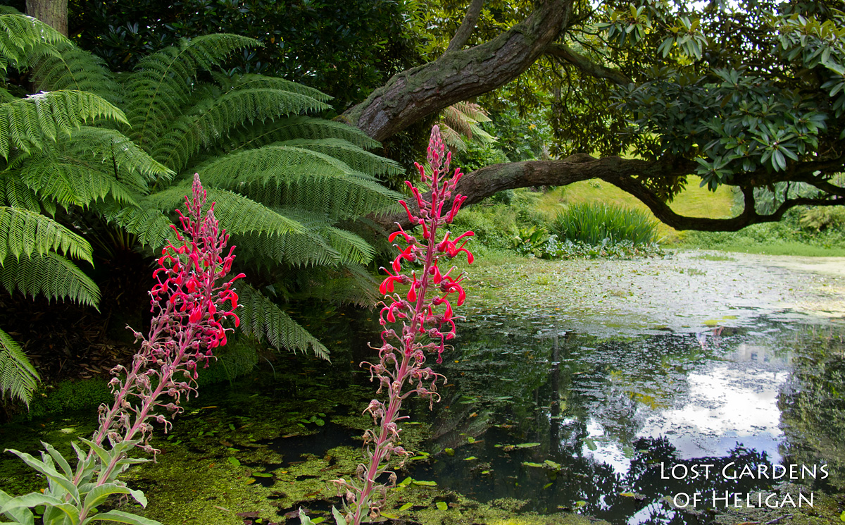 Lost Gardens