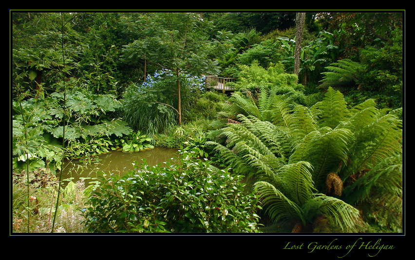 * Lost Gardens of Heligan*