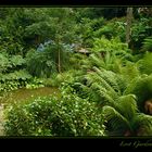 * Lost Gardens of Heligan*