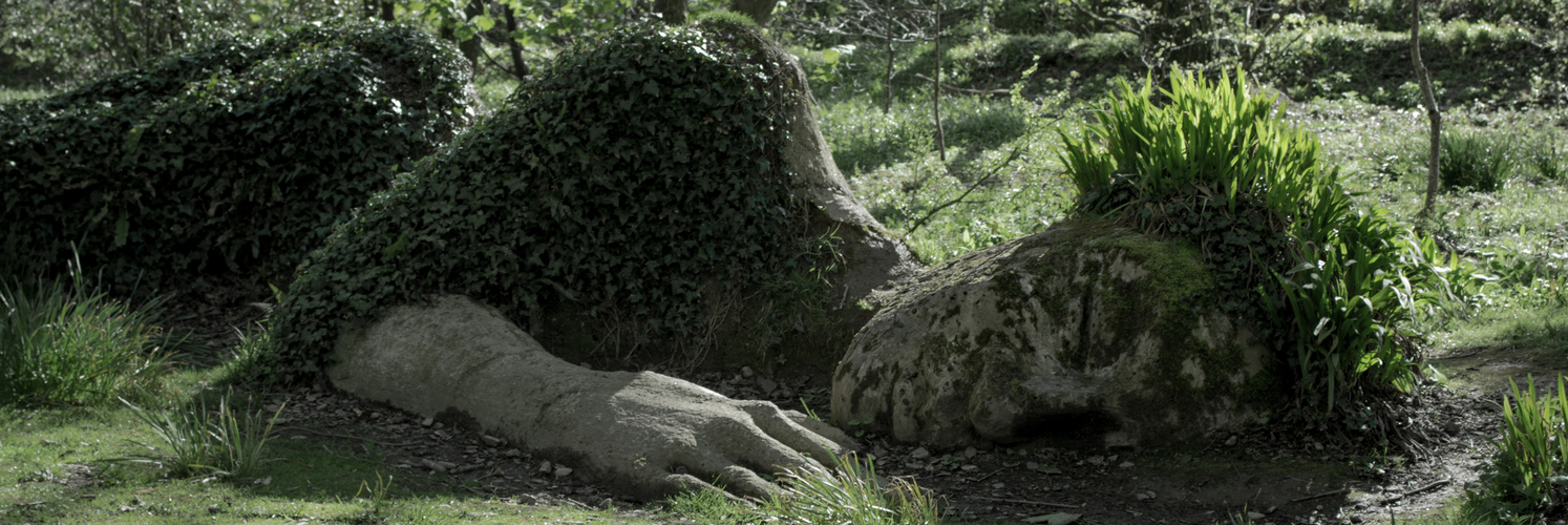 Lost Gardens of Heligan - Cornwall