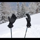 lost gloves