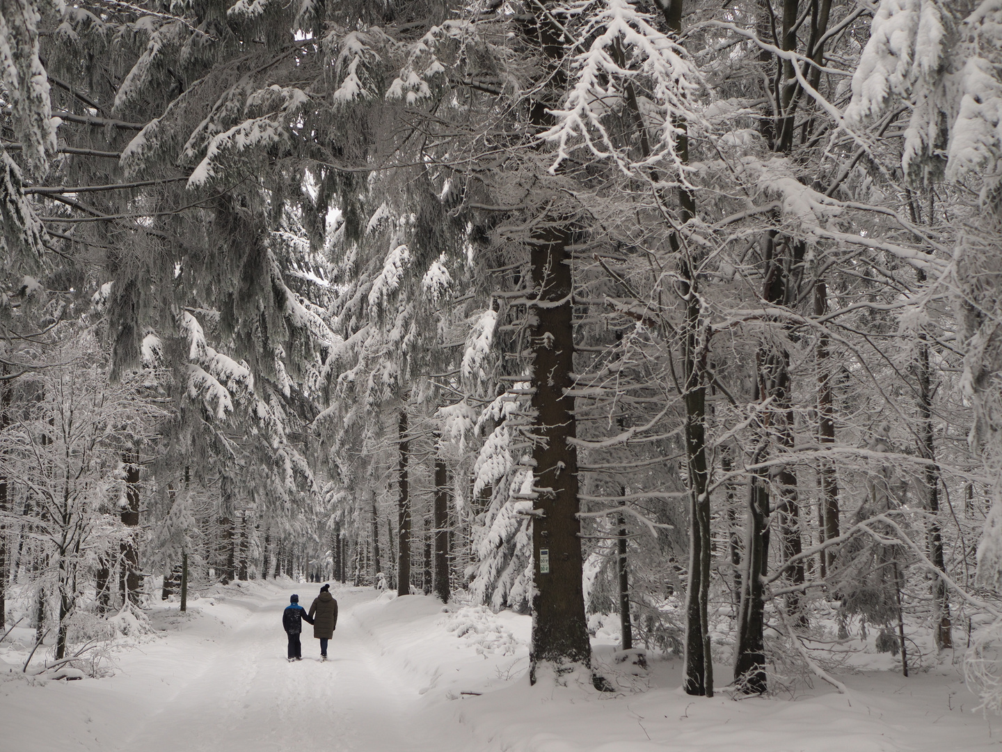 Lost in a Winterfairytale :-)