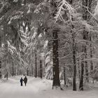 Lost in a Winterfairytale :-)