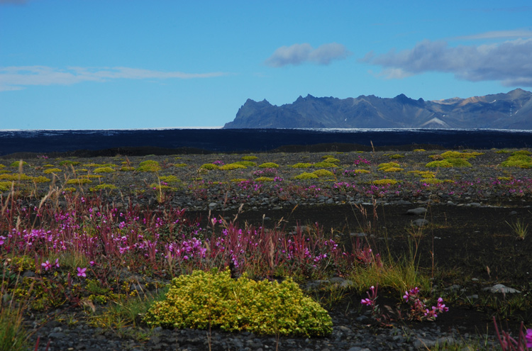 LOST IN ICELAND (2)