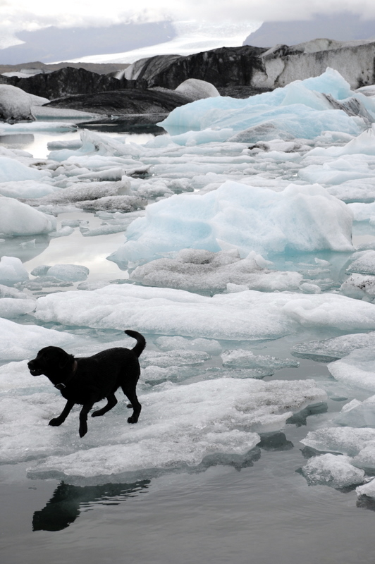 lost in iceland