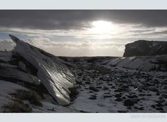 Lost in Iceland / FOUR