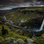 [ ... lost in iceland ... háifoss ]