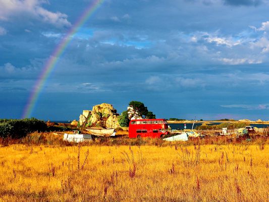 Lost in Paradise P9050838