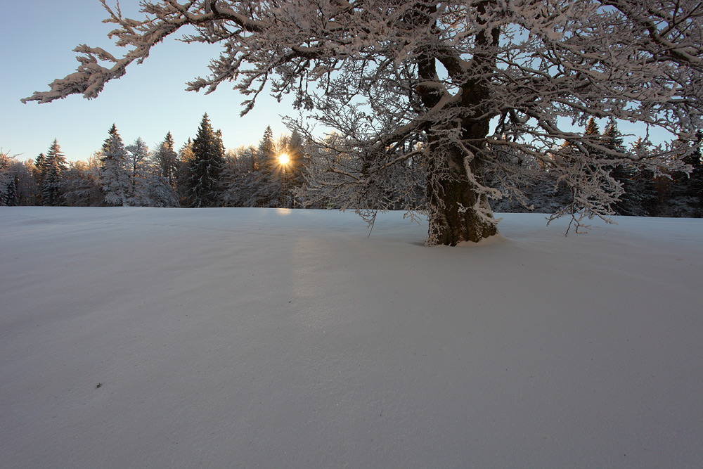 lost in snow