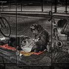 Lost in the city - homeless