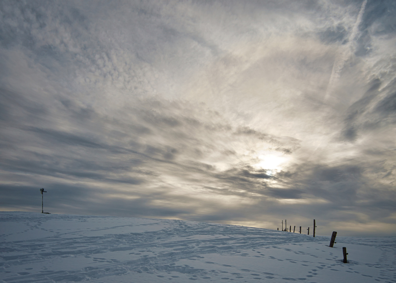 Lost in the snow