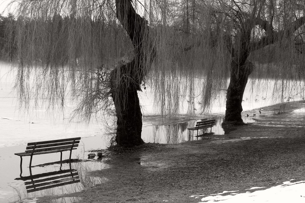 Lost Lagoon