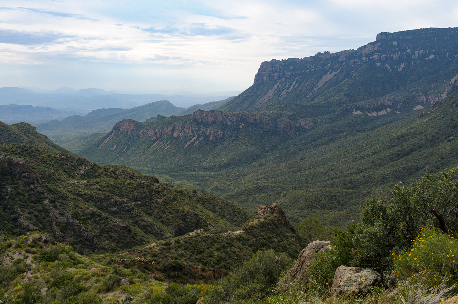 Lost Mine Trail