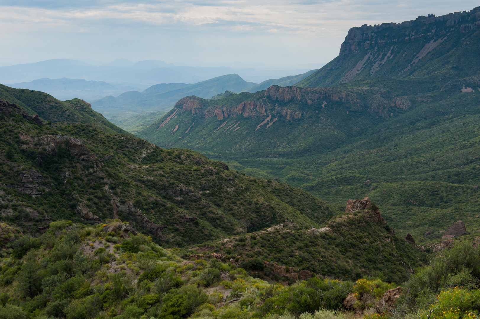 Lost Mine Trail