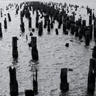 Lost Pier