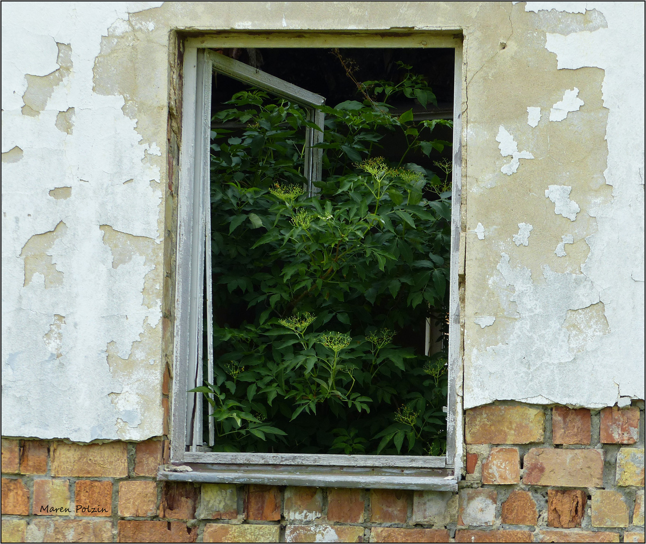 Lost place 4 _ Am Fenster