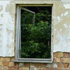 Lost place 4 _ Am Fenster