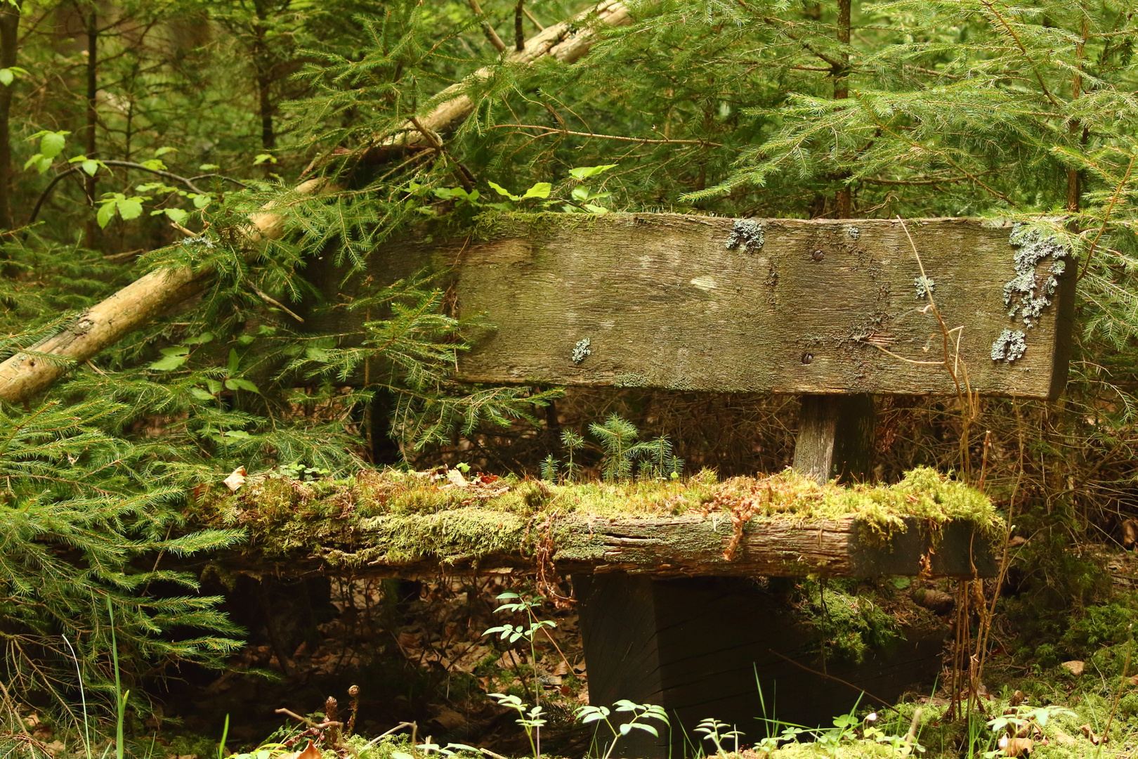 Lost place - Bankgeschäft