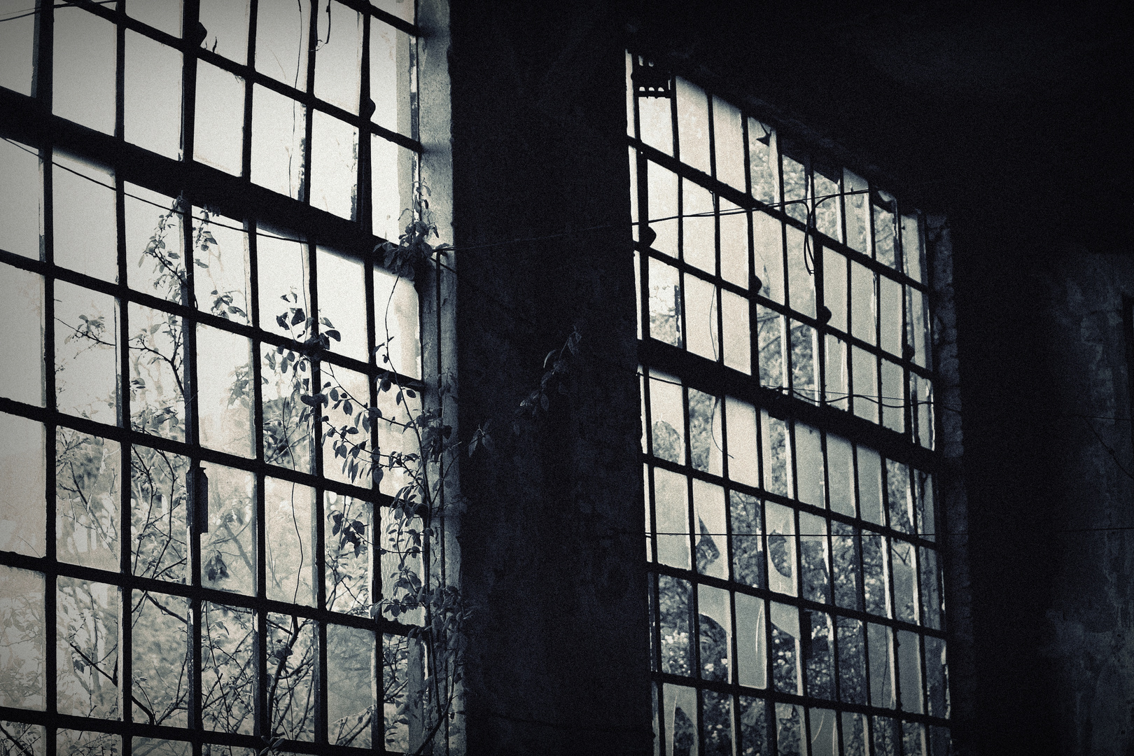 Lost Place - Fenster