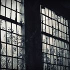 Lost Place - Fenster