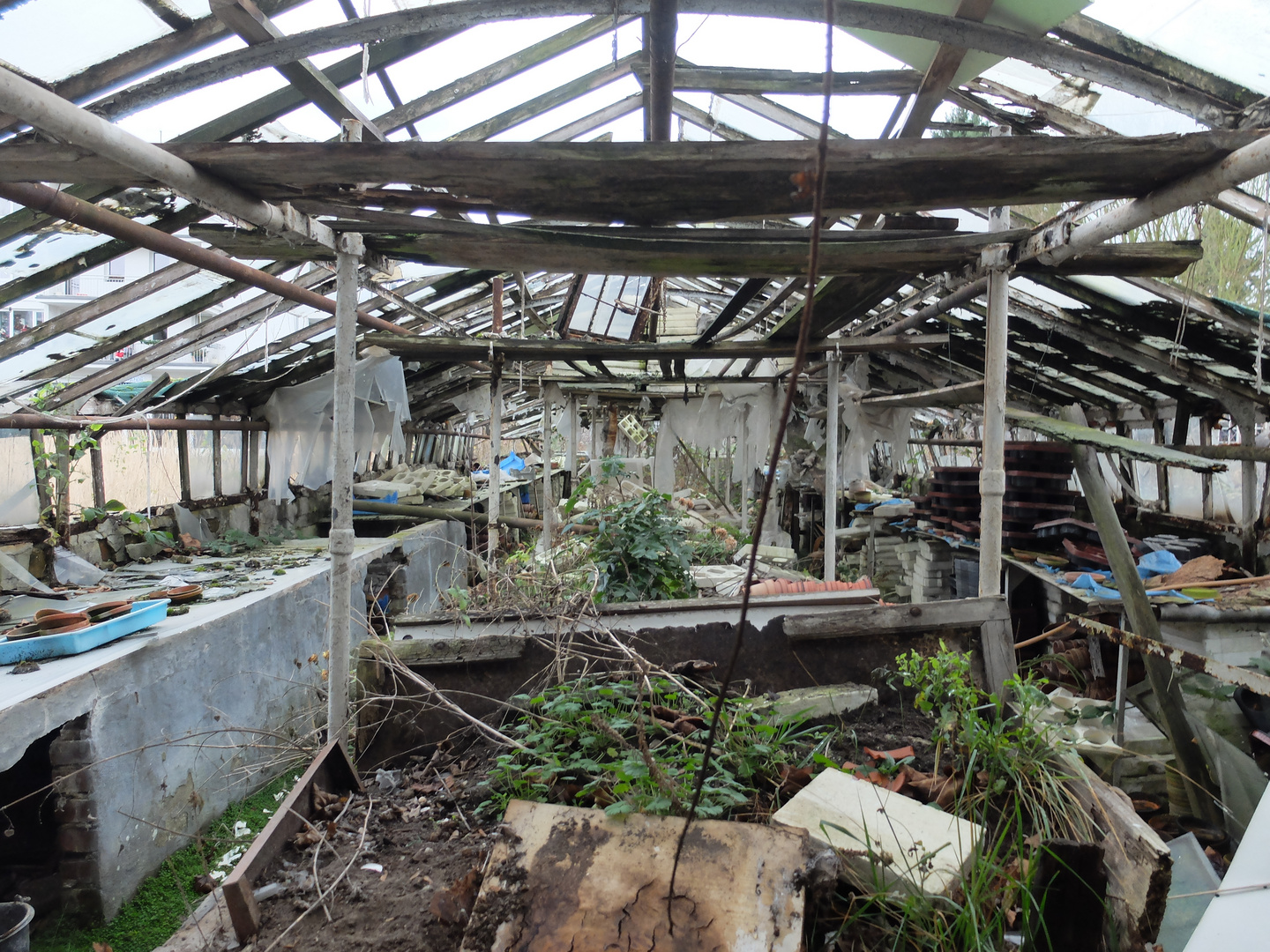 Lost Place - Gärtnerei - Das Gewächshaus