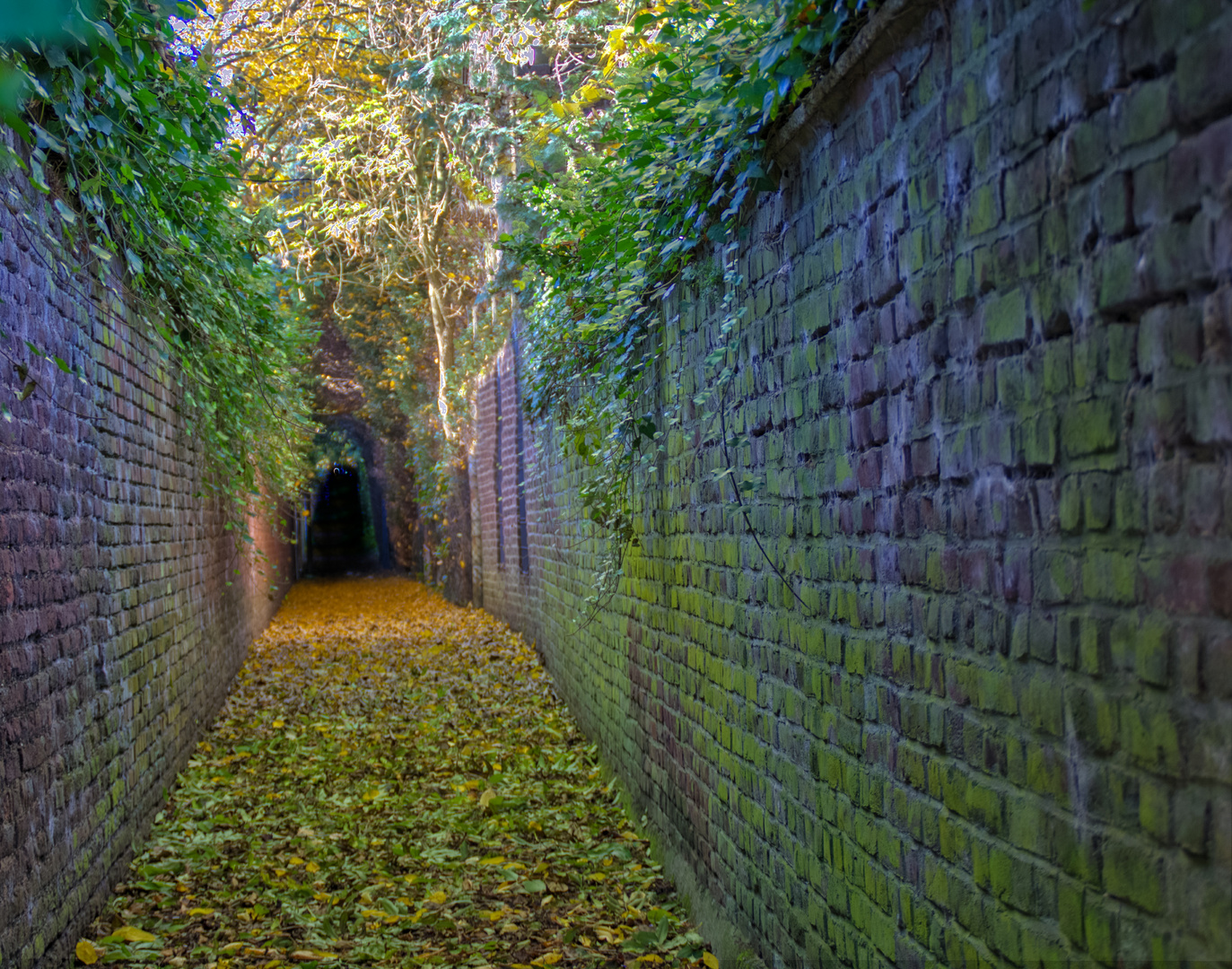 Lost Place Gässchen im Herbst