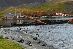  Lost Place, Grytviken