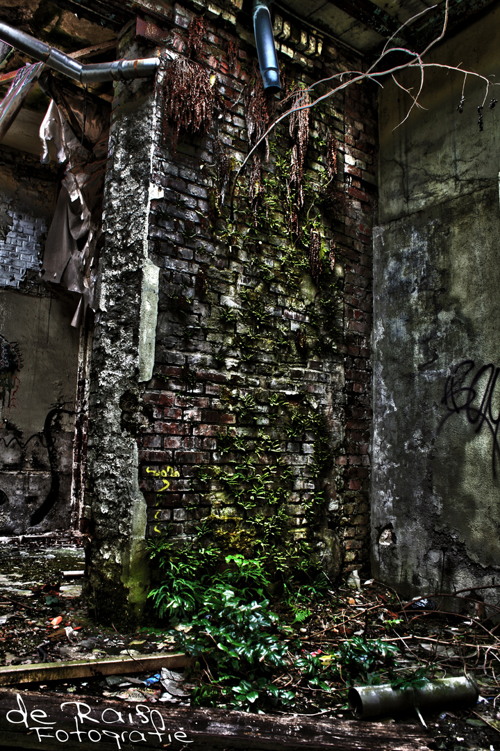 Lost-Place-HDR II