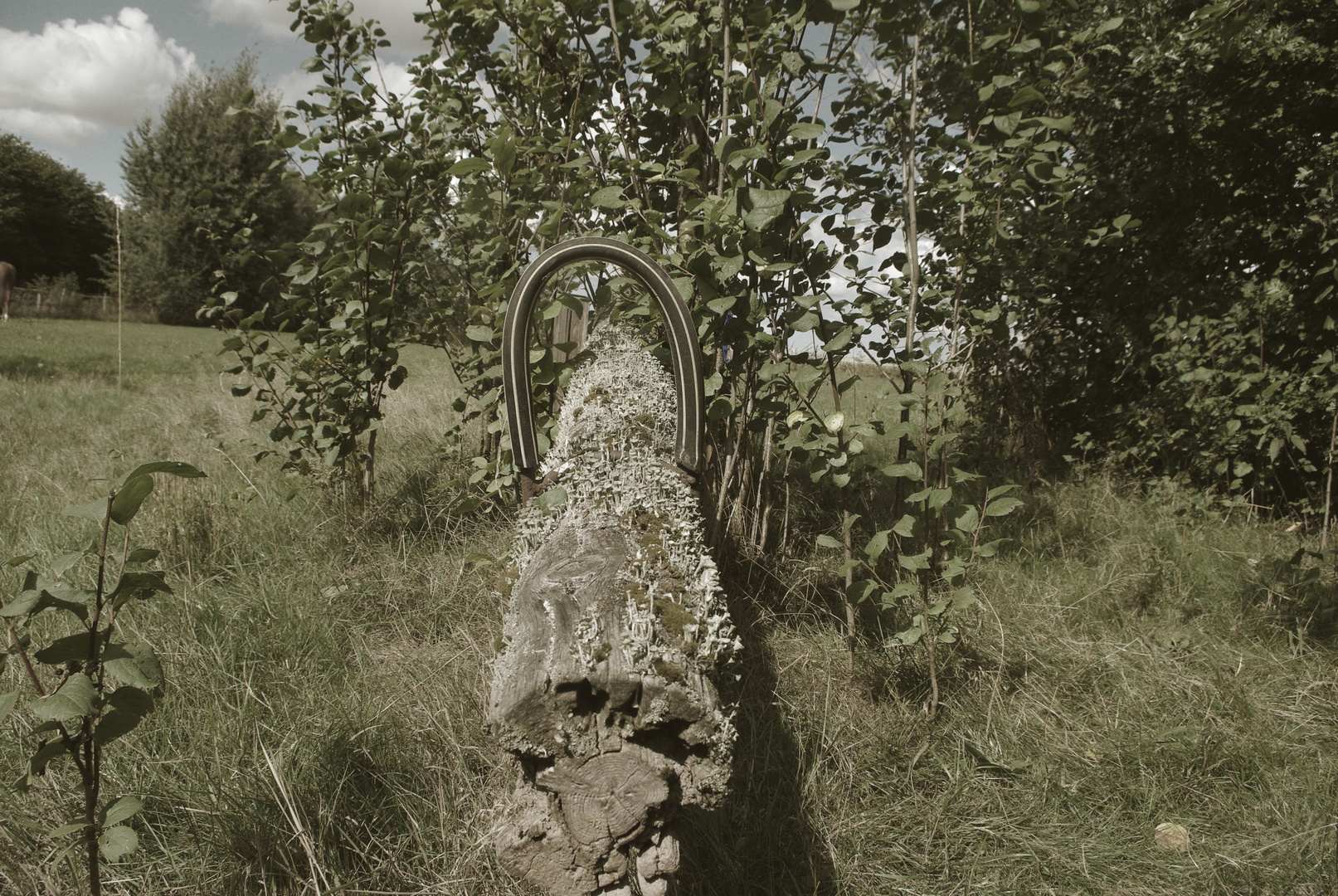 lost place - im eigenen Garten