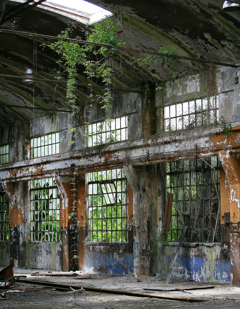 Lost place im französischen Grenzgebiet