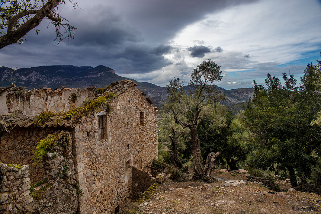 Lost Place im Olivenhain