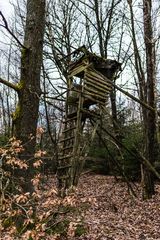 Lost Place im Wald