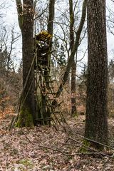 Lost Place im Wald  (2)