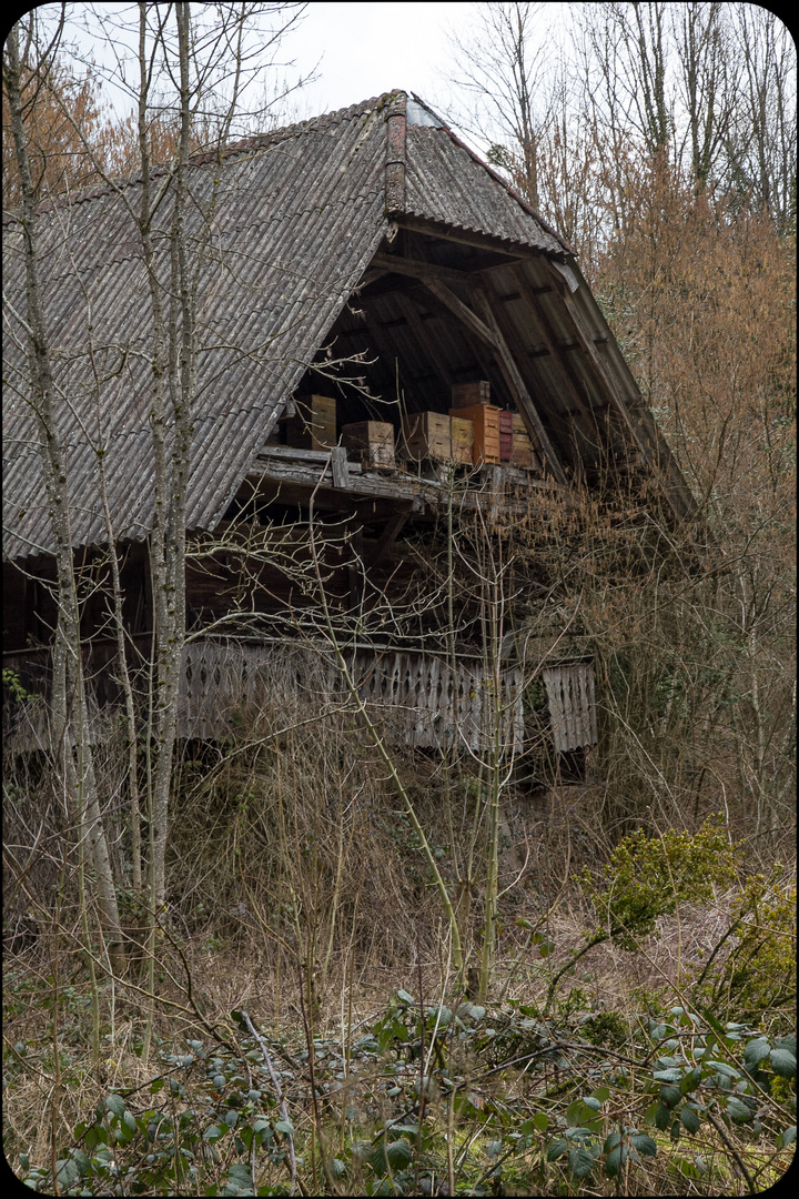 Lost place in Black Forest