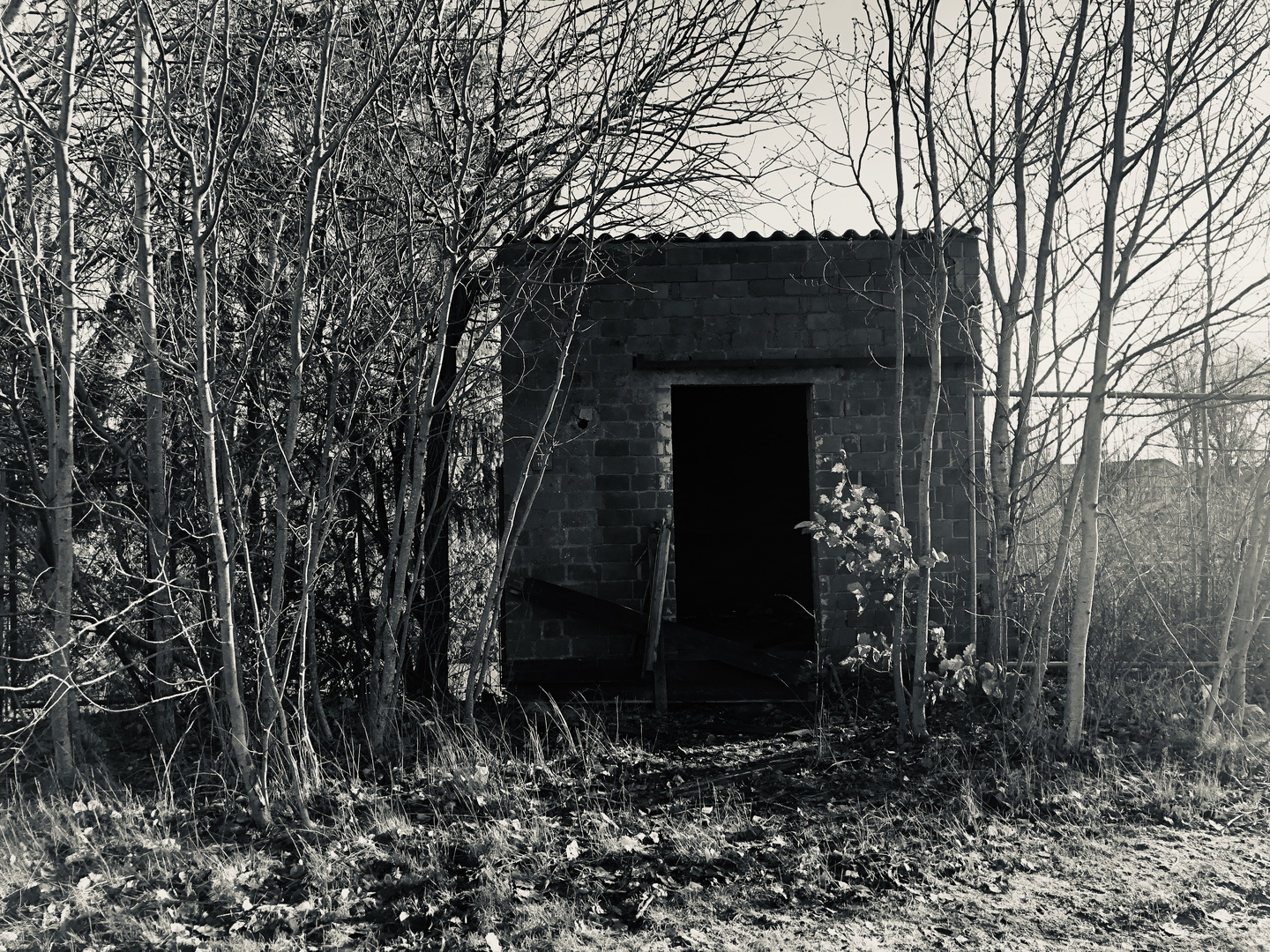 Lost Place in the woods...