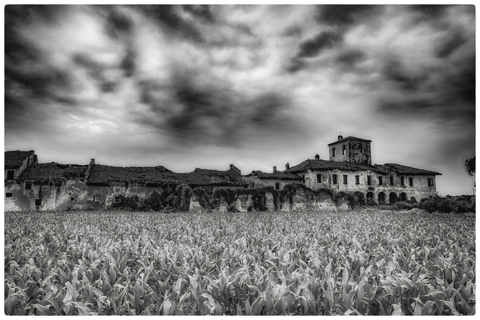 Lost Place Italien : Il silenzio delle mucce