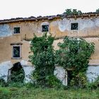 Lost Place (Lanterna, Kroatien)