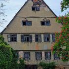 "Lost Place mit frischen Blüten"