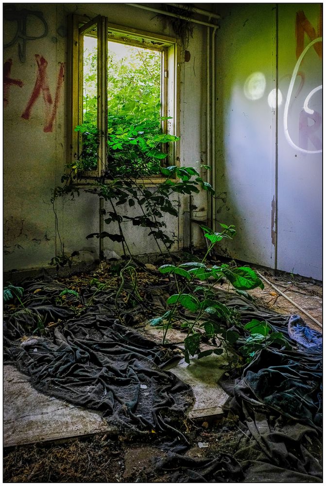 Lost place - Nature returns back