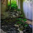 Lost place - Nature returns back