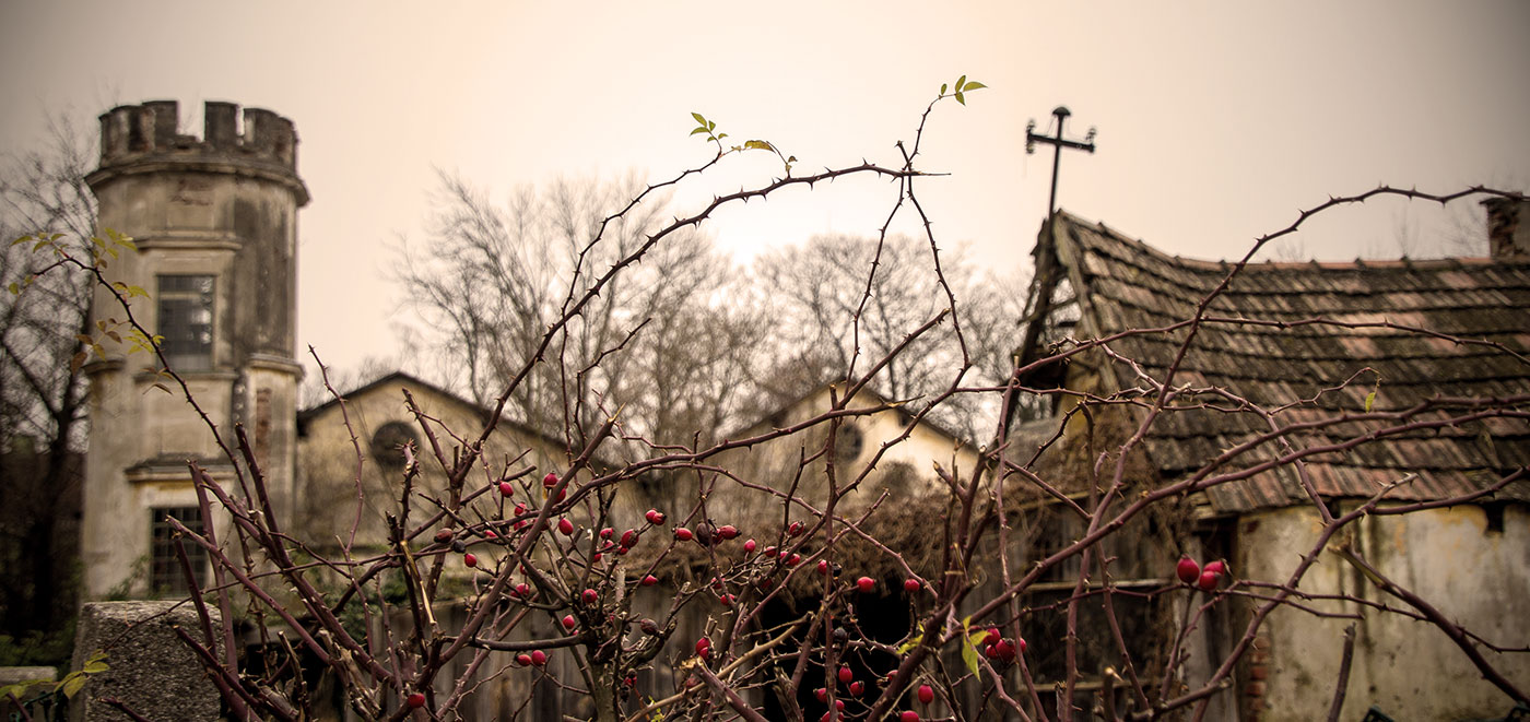 Lost Place | Radlberg, NÖ