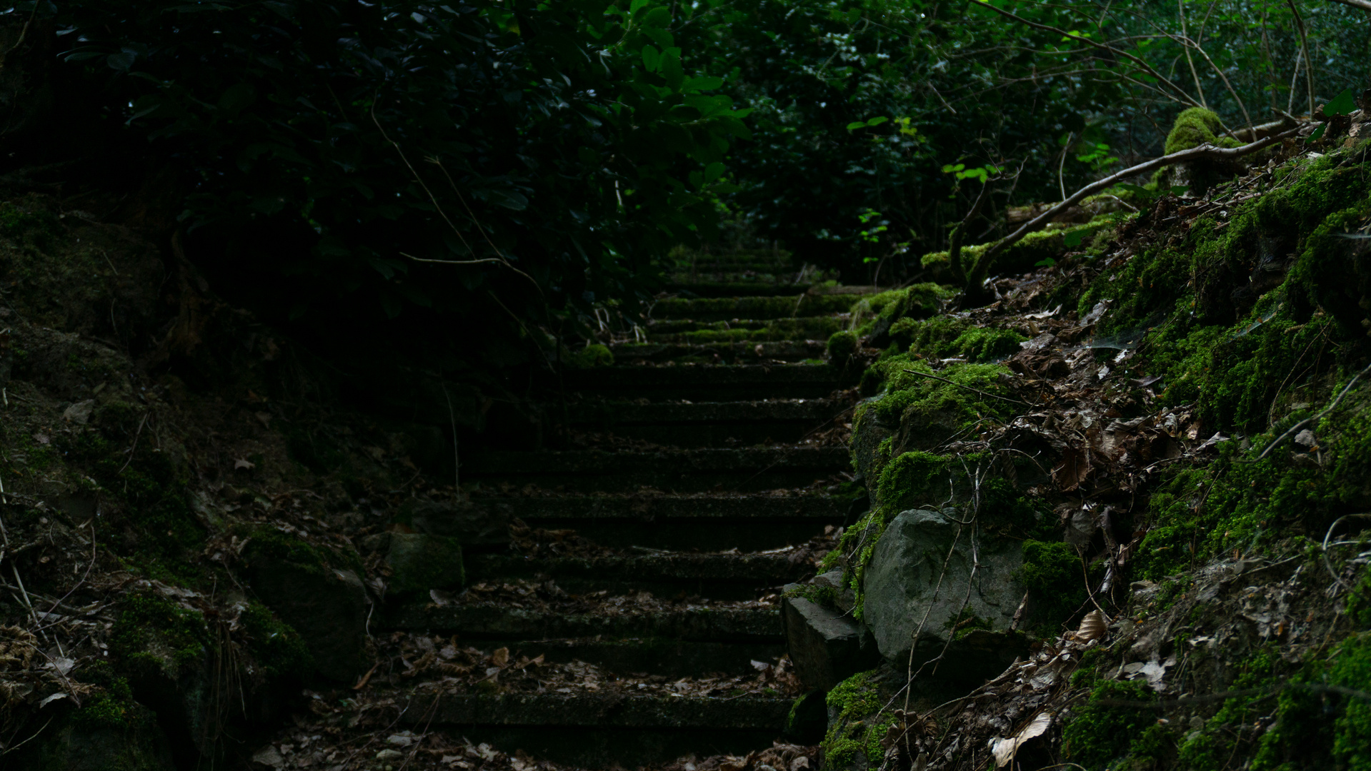 Lost Place Stair