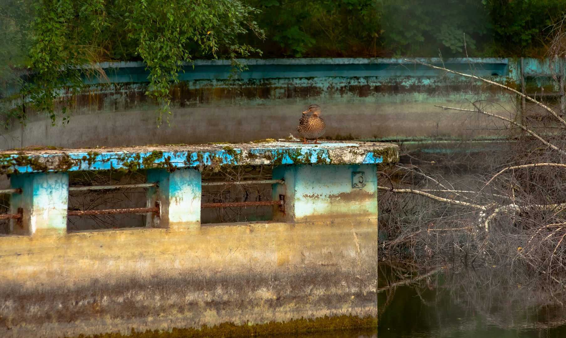 Lost Place und seine Bewohnerin