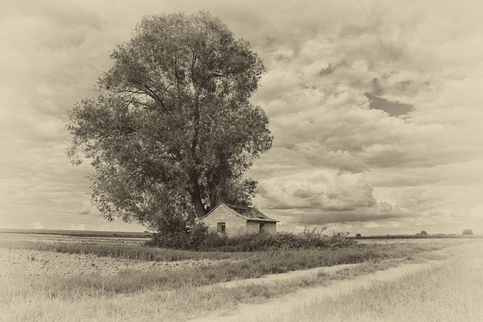 Lost Place - Verlassene Hütte im Weinberg in Sepia